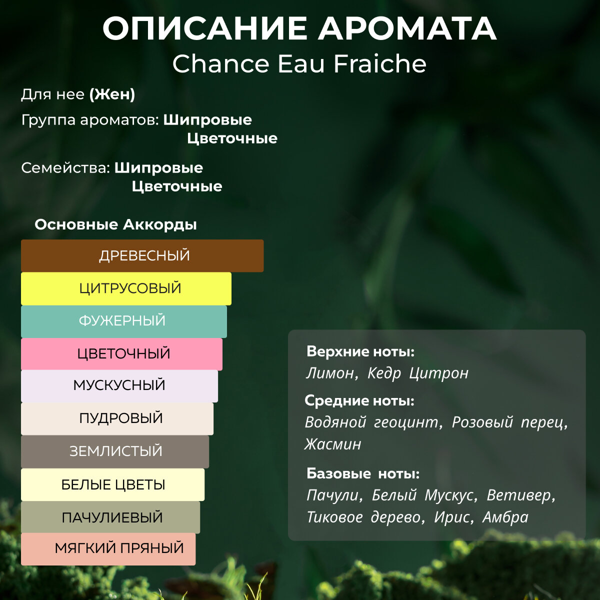 Gratusi Parfum Chance Eau Fraiche духи женские масляные 20 мл (спрей) + подарок — фото 1