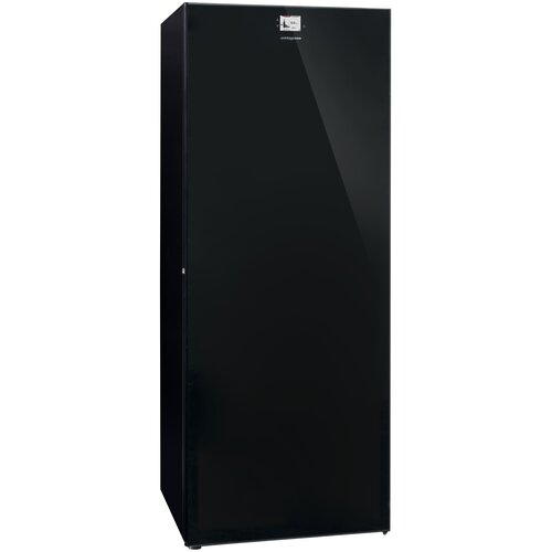 Винный шкаф на 294 бутылки Avintage Diva DVA305PA+ черный