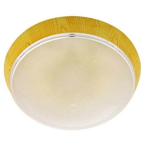 Потолочный светильник Horoz Уфо Ерджиес 400-224-101 HRZ00001460