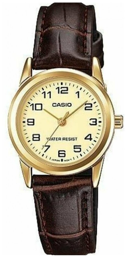 Наручные часы CASIO Collection 79820, золотой, серебряный