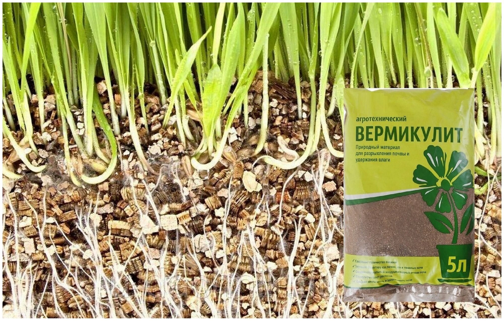 Вермикулит 5 л, незаменим для улучшения качества почвы и выращивания крепкой здоровой рассады, для аэрации грунта, для гидропонного выращивания растен - фотография № 3