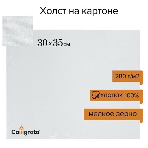 Холст на картоне , хлопок 100%, 30 х 35 см, 3 мм, акриловый грунт, мелкое зерно, 280 г/м2