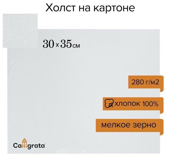 Холст на картоне , хлопок 100%, 30 х 35 см, 3 мм, акриловый грунт, мелкое зерно, 280 г/м2