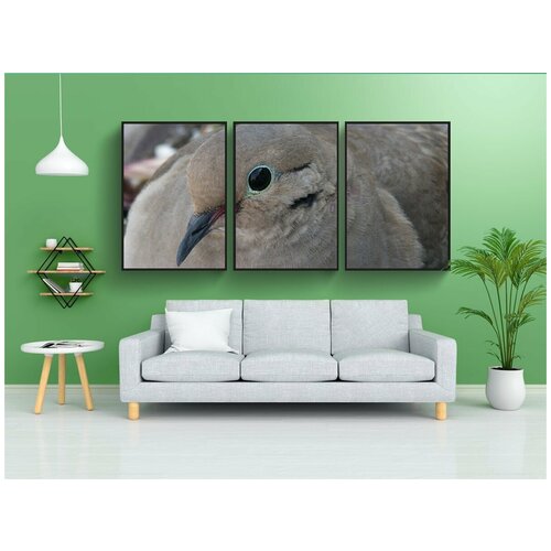 фото Набор модулных постеров для интерьера "голубь, мир, птица" 60x90 см. в тубусе, без рамки lotsprints