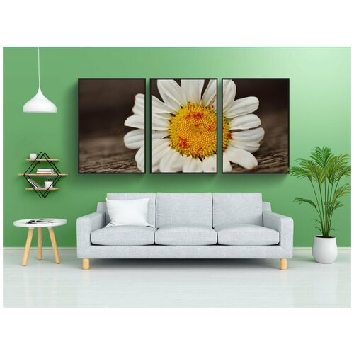 фото Набор модулных постеров для интерьера "тли, красная тля, вредители" 60x90 см. в тубусе, без рамки lotsprints