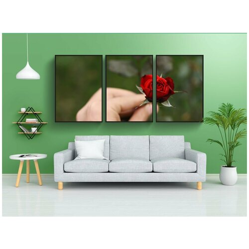 фото Набор модулных постеров для интерьера "рука, цветок, роза" 60x90 см. в тубусе, без рамки lotsprints