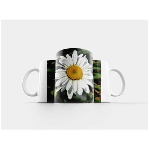 фото Кружка "маргарита, цветок, цвести" 320 мл lotsprints