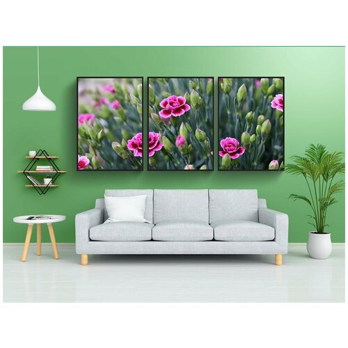 фото Набор модулных постеров для интерьера "гвоздика, цветок, розовая гвоздика" 60x90 см. в тубусе, без рамки lotsprints