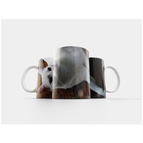 фото Кружка "кошка, белый кот, кошечка" 320 мл lotsprints