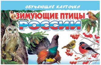 Обучающие карточки Зимующие птицы России
