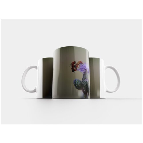 фото Кружка "жук, цветок, природа" 320 мл lotsprints