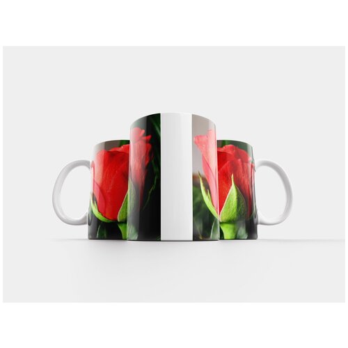 фото Кружка "дача, весна, нарцисс" 320 мл lotsprints