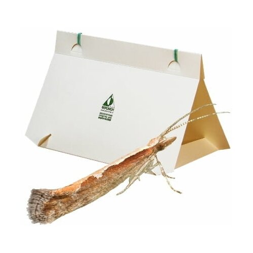 Феромонная ловушка для капустной моли