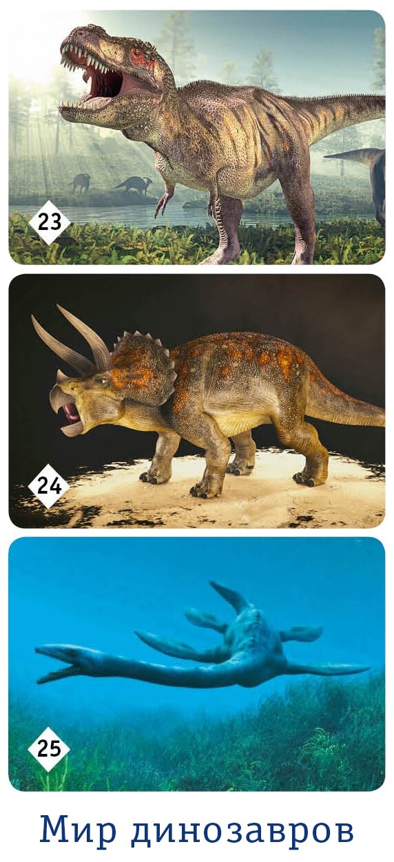 Мемо "Мир динозавров" (8083) Нескучные игры - фото №15