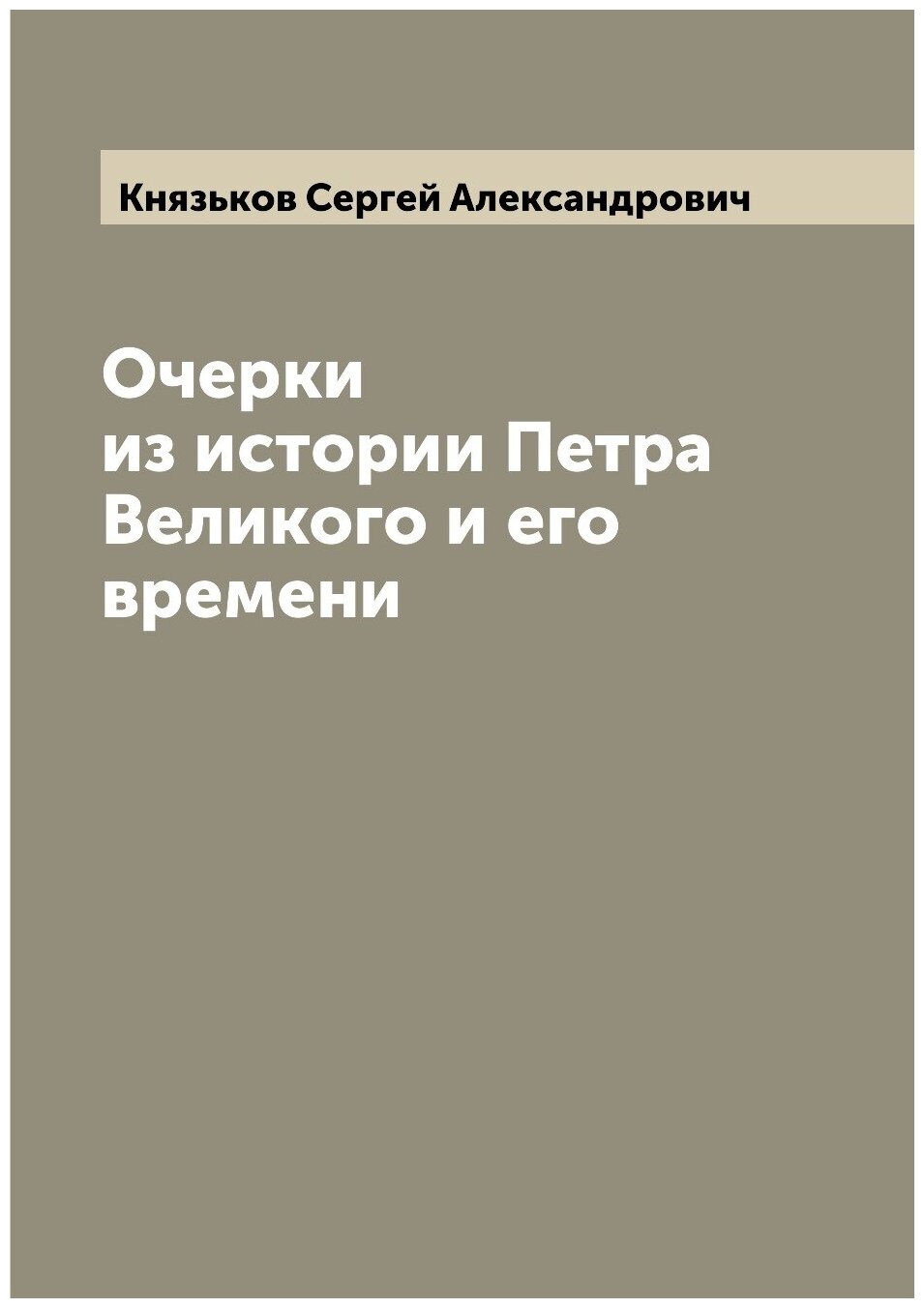 Книга Очерки из истории Петра Великого и его времени - фото №1