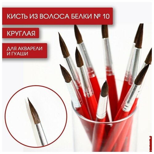 Кисть для рисования из волоса белки круглая № 10 короткая ручка(10 шт.)