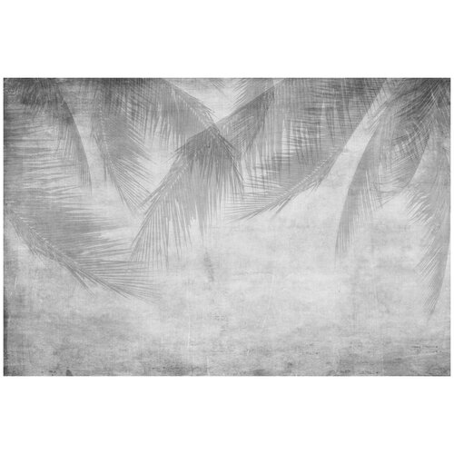 Фотообои Уютная стена Тени пальмовых листьев 410х270 см Бесшовные Премиум (единым полотном)