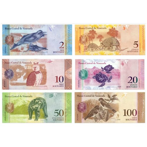 Венесуэла 2013 г. набор 6 банкнот набор банкнот люди искусства 8 штук 2013 года