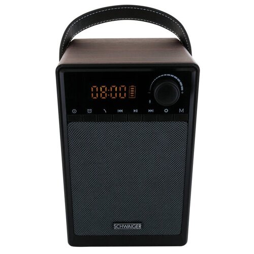 Радиоприемник Schwaiger 715736 900000₽