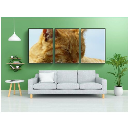 фото Набор модулных постеров для интерьера "кот, кошки, животное" 60x90 см. в тубусе, без рамки lotsprints