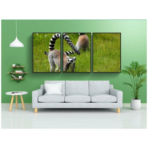 фото Набор модулных постеров для интерьера "кошачие лемуры, полуобезьян, катты" 60x90 см. в тубусе, без рамки lotsprints