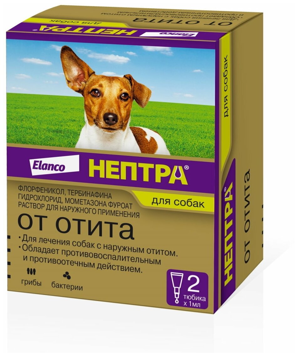 Нептра ® капли ушные для собак упаковка 2 пипетки по 1 мл