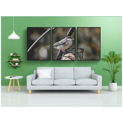 фото Набор модулных постеров для интерьера "большая синица, птица, садовая птица" 60x90 см. в тубусе, без рамки lotsprints