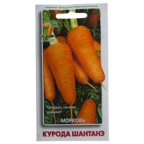 Семена Морковь Курода шантанэ