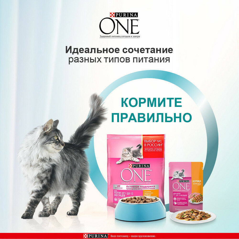 Влажный корм Purina ONE® для котят, с курицей и морковью, Пауч, 75 г - фотография № 7