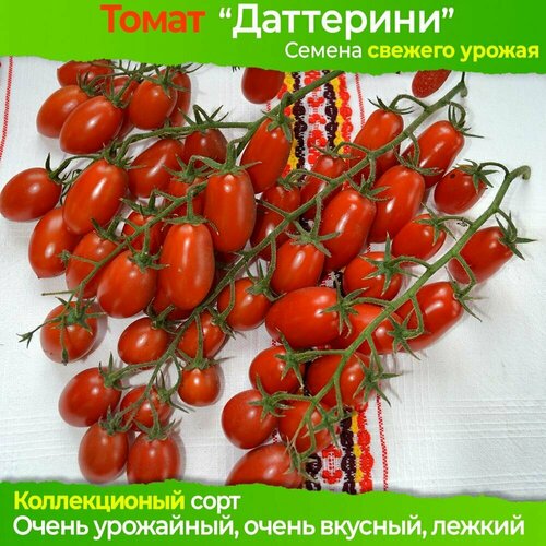 Семена Томат Даттерини - коллекционный сорт