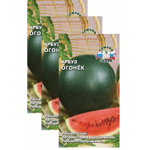 Семена Арбуз Огонек 1 г (СеДек) , 3 пакетика * 1 г