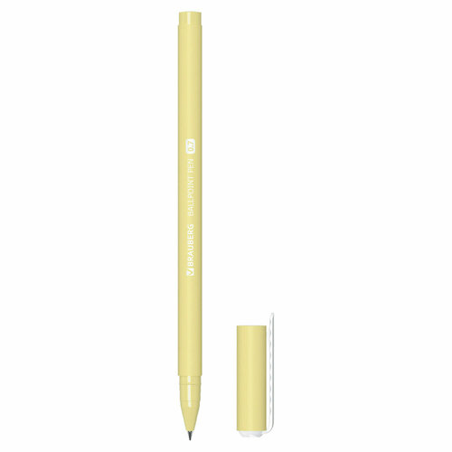 Ручка BRAUBERG 143698, комплект 36 шт. ручка шариковая brauberg soft touch stick parrots синяя мягкое покрытие узел 0 7 мм 143706 цена за 36 ед товара