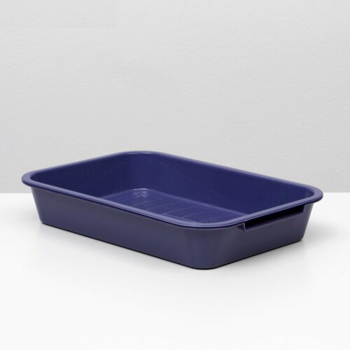 Лоток с сеткой №3, 36 х 26 х 6,5 см, фиолетовый