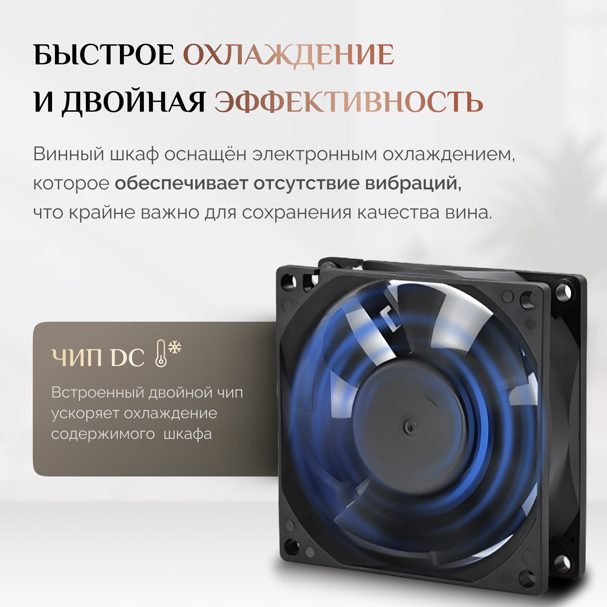 Винный шкаф Stoewer Wine Box DC08