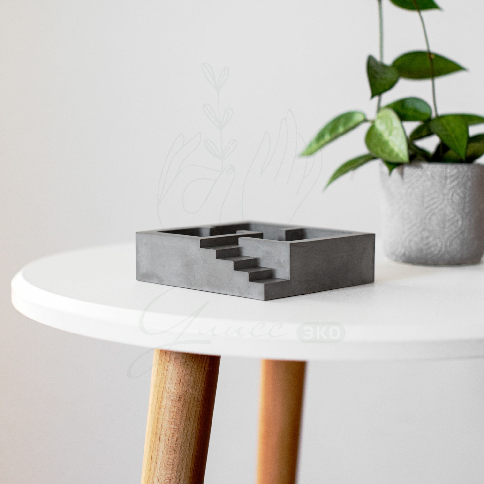 фото Маленький фито-офис без мха