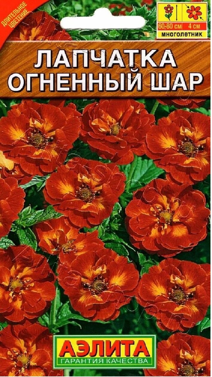 Семена Лапчатка Огненный шар (0,03 г), 2 пакета, Агрофирма Аэлита — фото 1