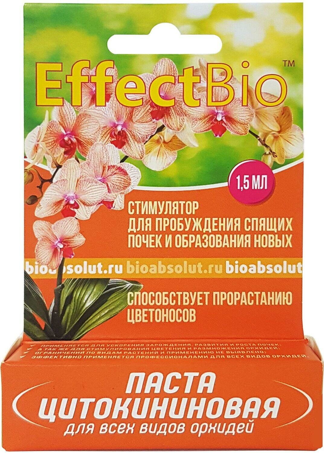 Паста...