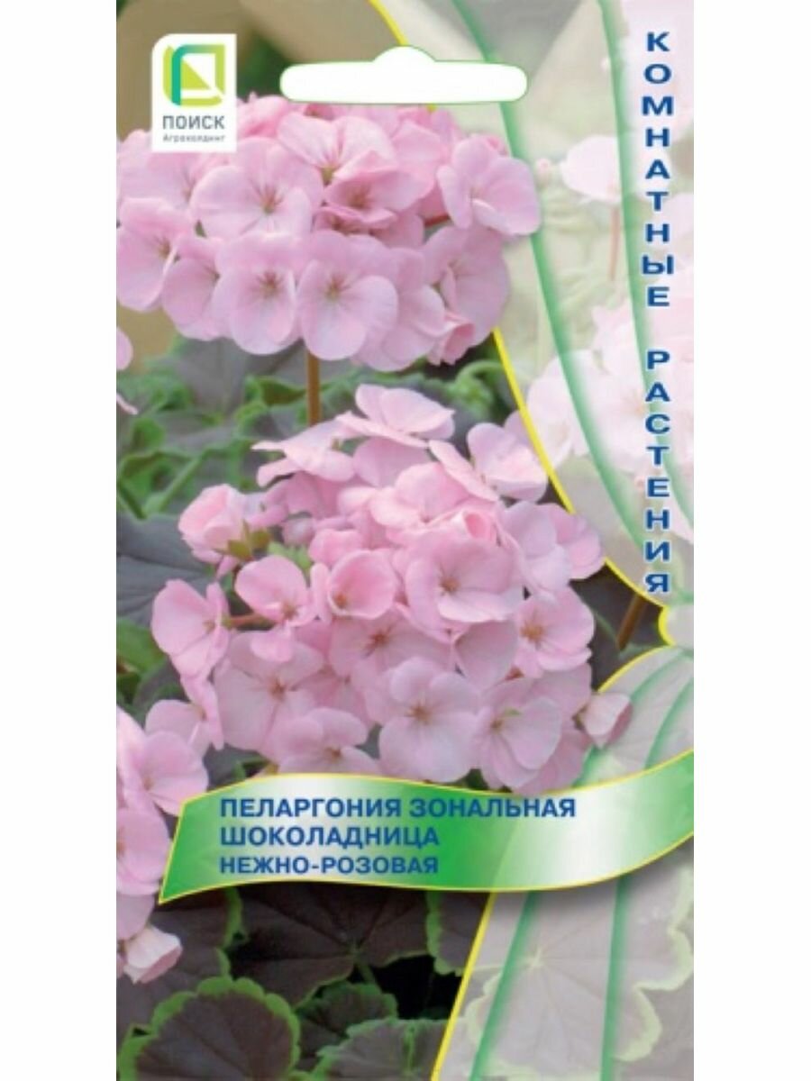 Пеларгония зональная Шоколадница Нежно-розовая5 семян