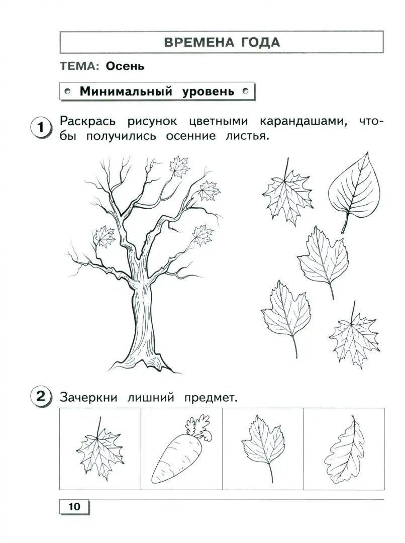 Мир природы и человека. 1 класс. Проверочные работы. Адаптированные программы. ОВЗ - фото №3