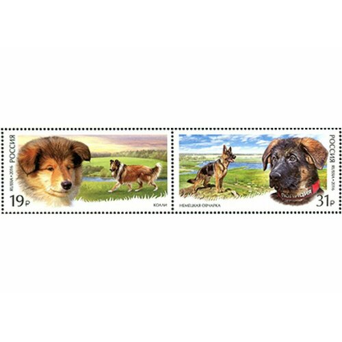 Почтовые марки Россия 2016г. Служебные породы собак Собаки MNH