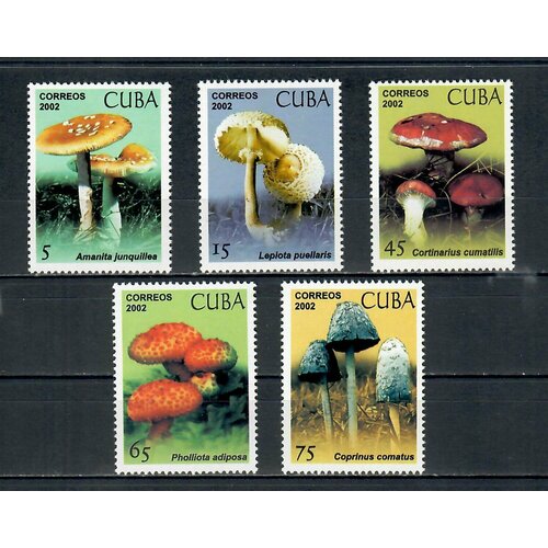 Почтовые марки Куба 2002г. Грибы Грибы MNH почтовые марки куба 2002г upaep кампания грамотности образование mnh