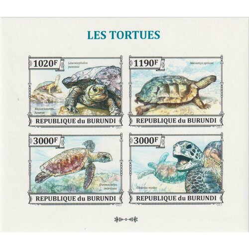 Почтовые марки Бурунди 2013г. Черепахи Черепахи MNH почтовые марки куба 1983г черепахи черепахи морские черепахи mnh