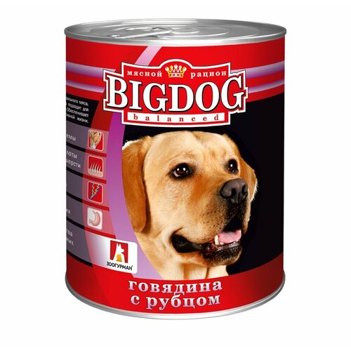 Влажный корм для собак Зоогурман Big Dog, говядина, рубец 1 уп. х 1 шт. х 850 г (для средних и крупных пород) влажный корм для собак зоогурман big dog говядина баранина 1 уп х 1 шт х 850 г для средних и крупных пород