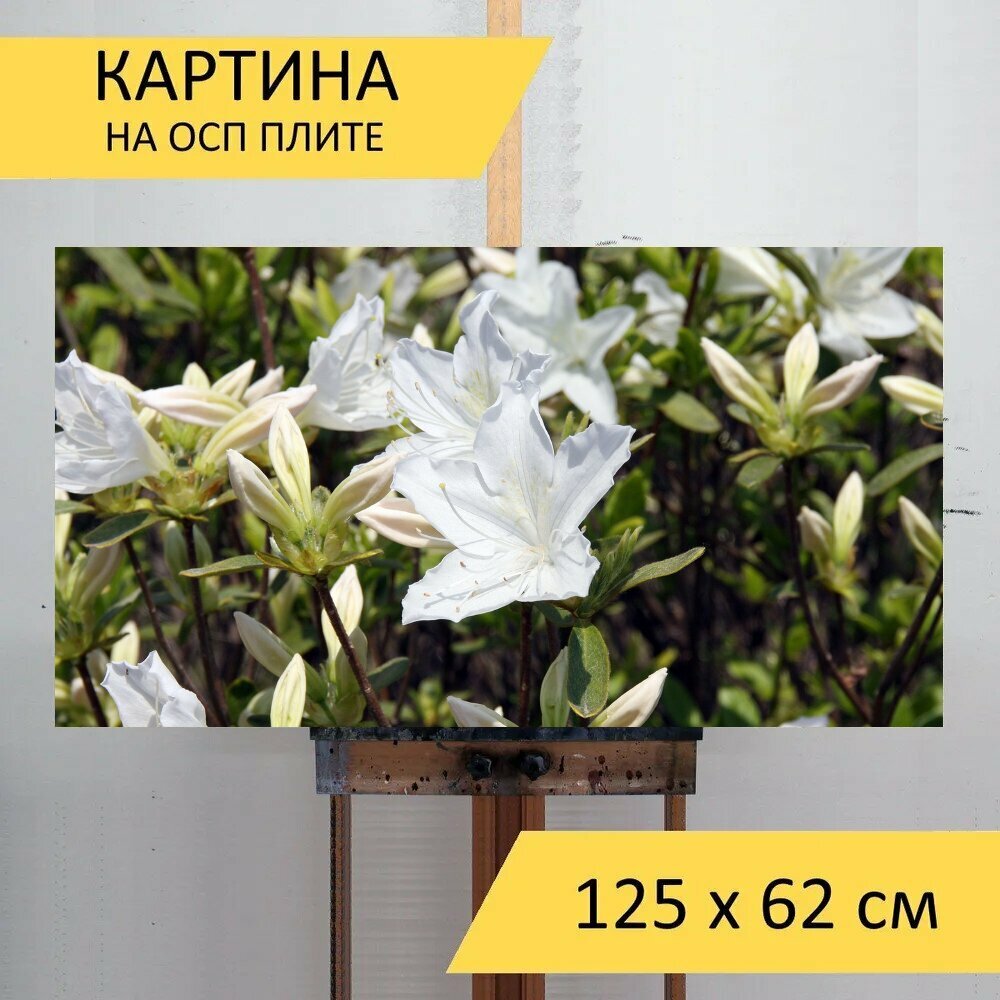 Картина на ОСП 125х62 см. 