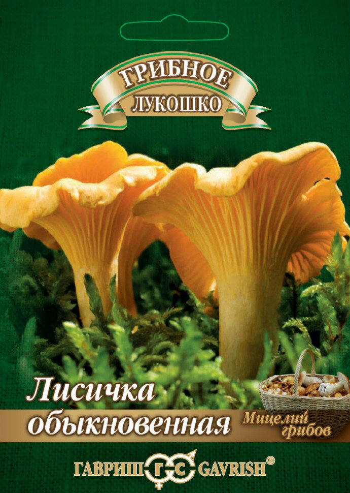 Мицелий Лисички на зерновом субстрате, 15мл, Гавриш, 2 пакетика