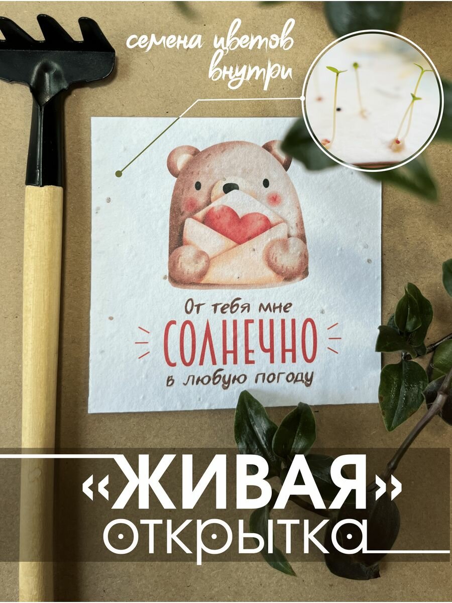 "Живая открытка" - поздравительная открытка от Istok Ecoshop