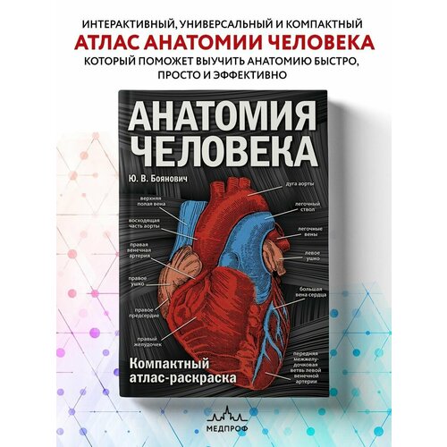 Медпроф / Анатомия человека: компактный атлас-раскраска