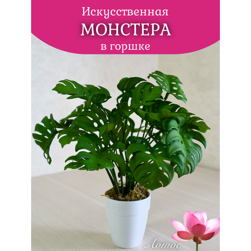 Монстера декоративный искусственный цветок от бренда Лотос 600₽