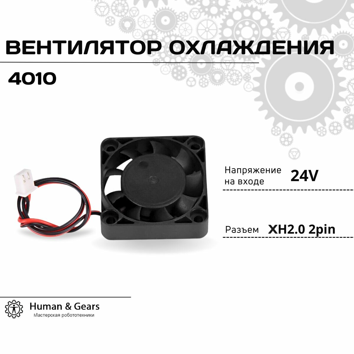 Вентилятор охлаждения 4010 24V, кулер для компьютера, cooler для 3D принтера, 40х40х10 мм