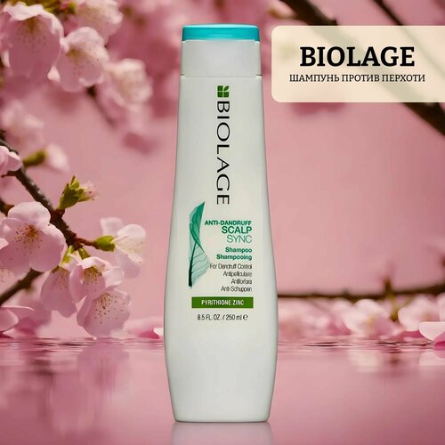 шампунь против перхоти biolage scalpsync 250 мл Шампунь